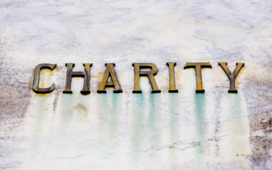 The main ways to support the Transparency Project!