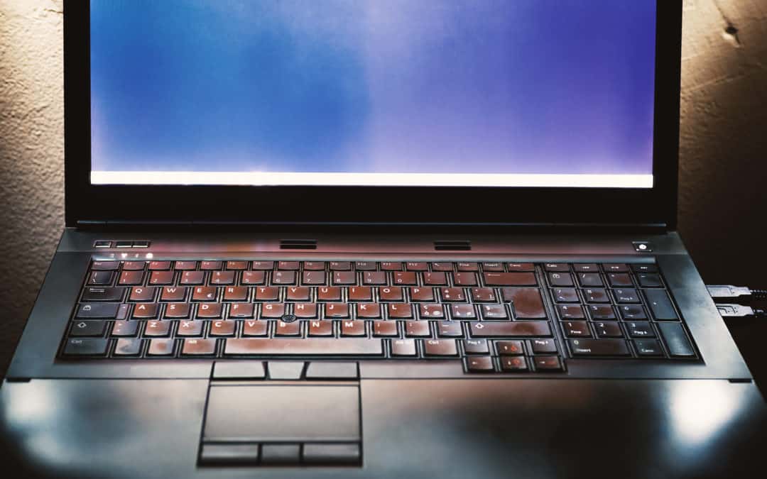 Capacity to use the internet
