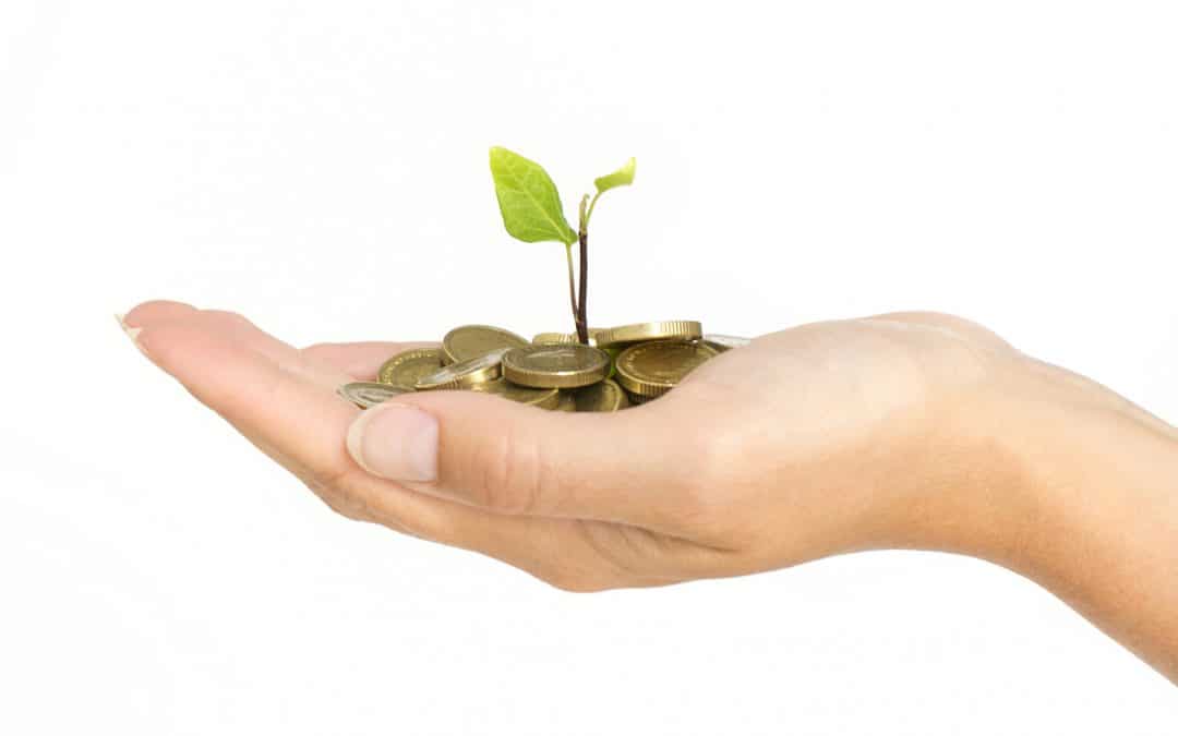 Could you support The Transparency Project?